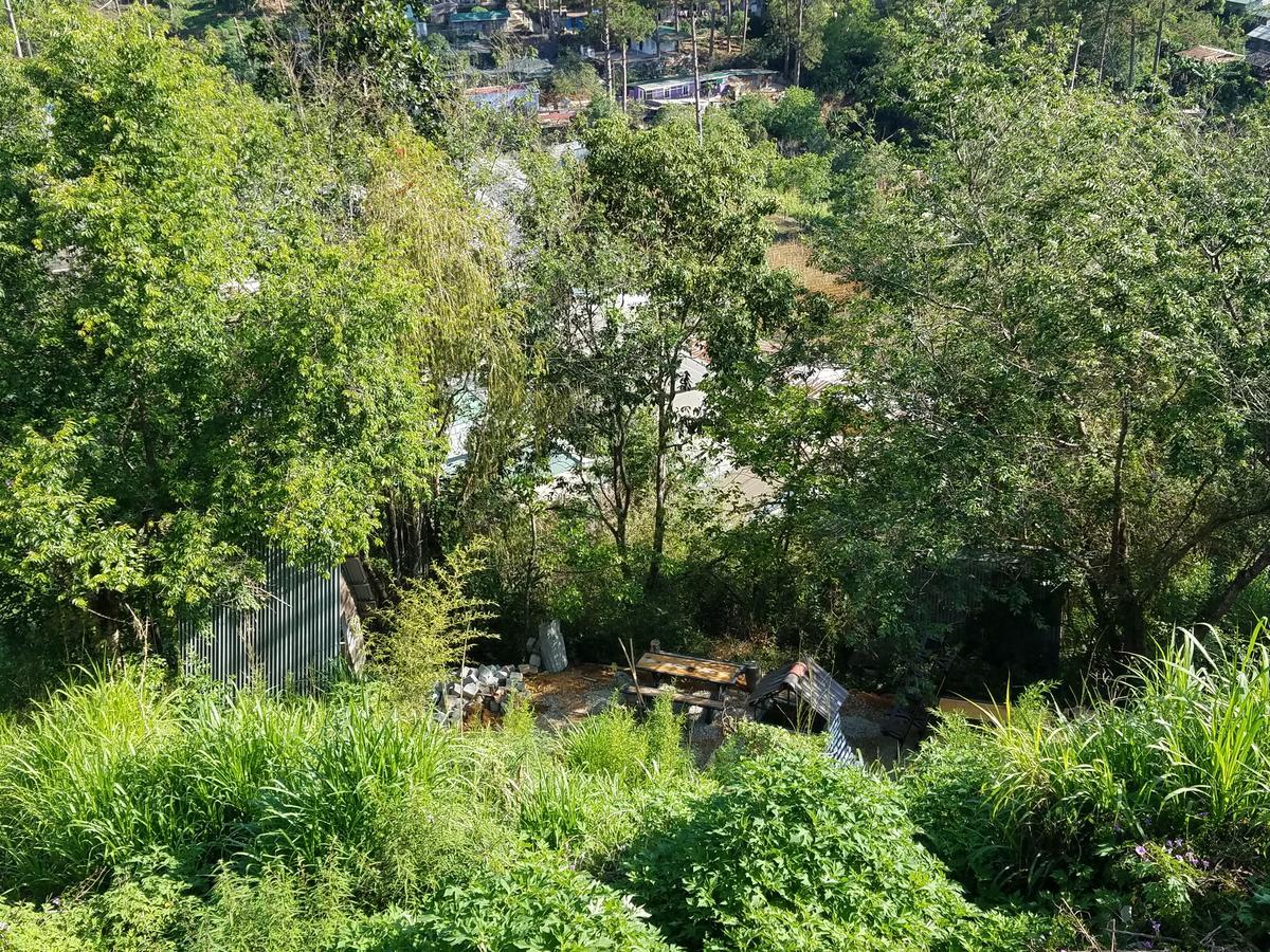 Lam Phan Hotel Villa Da Lat Dış mekan fotoğraf